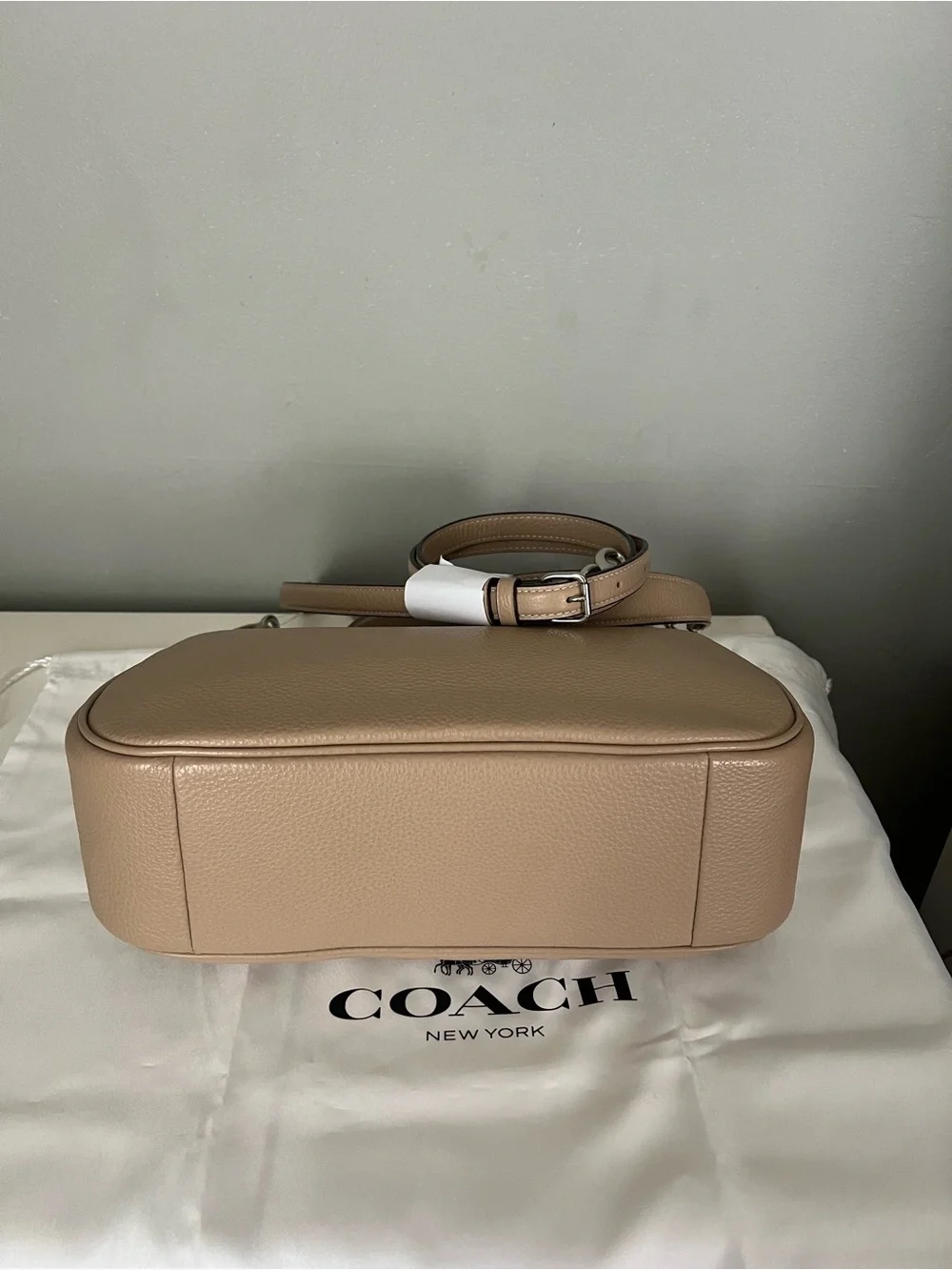 Coach Teri Hobo Bag